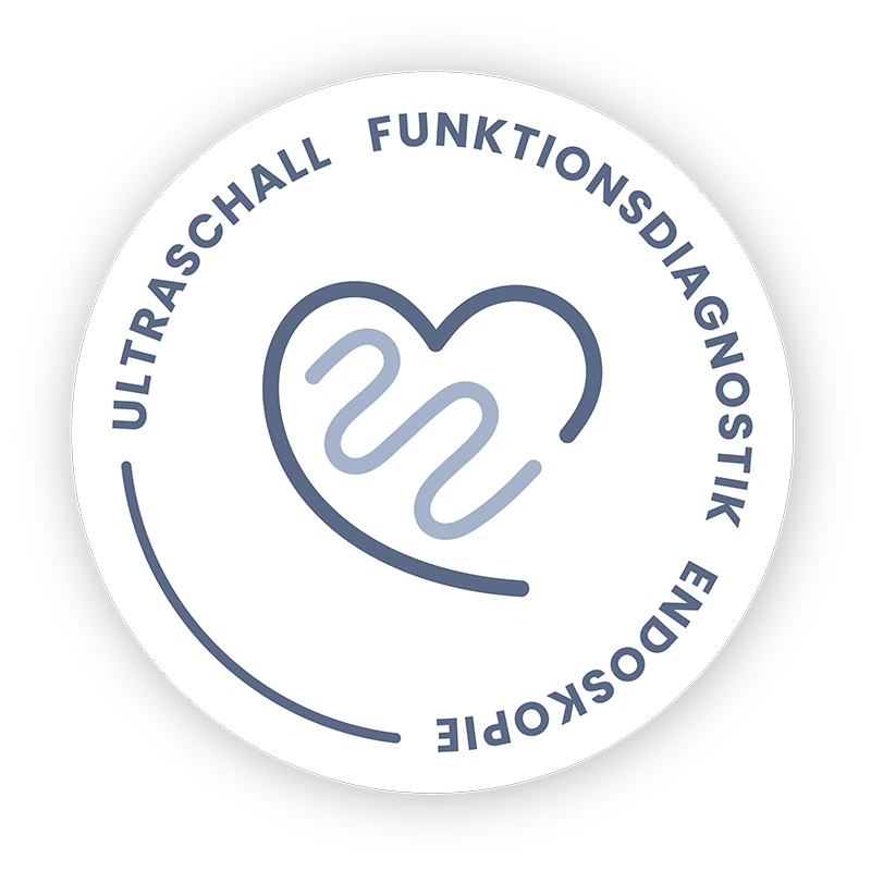 Infografik mit Text: Ultraschall, Funktionsdiagnostik, Endoskopie
